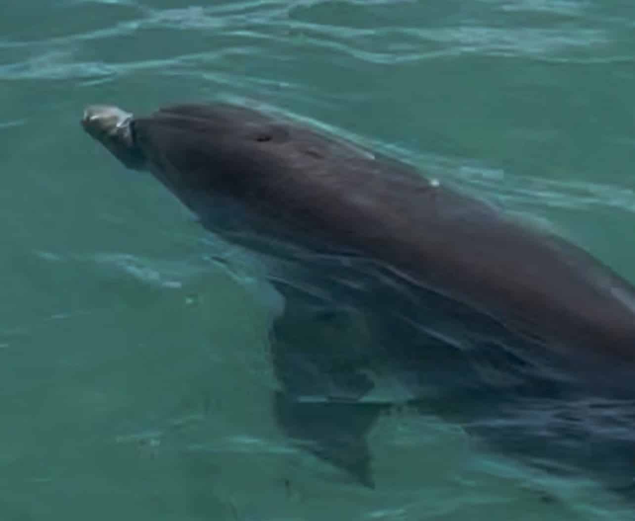 Islamorada-Your-Adventure-Your-Way-Custom-Charter