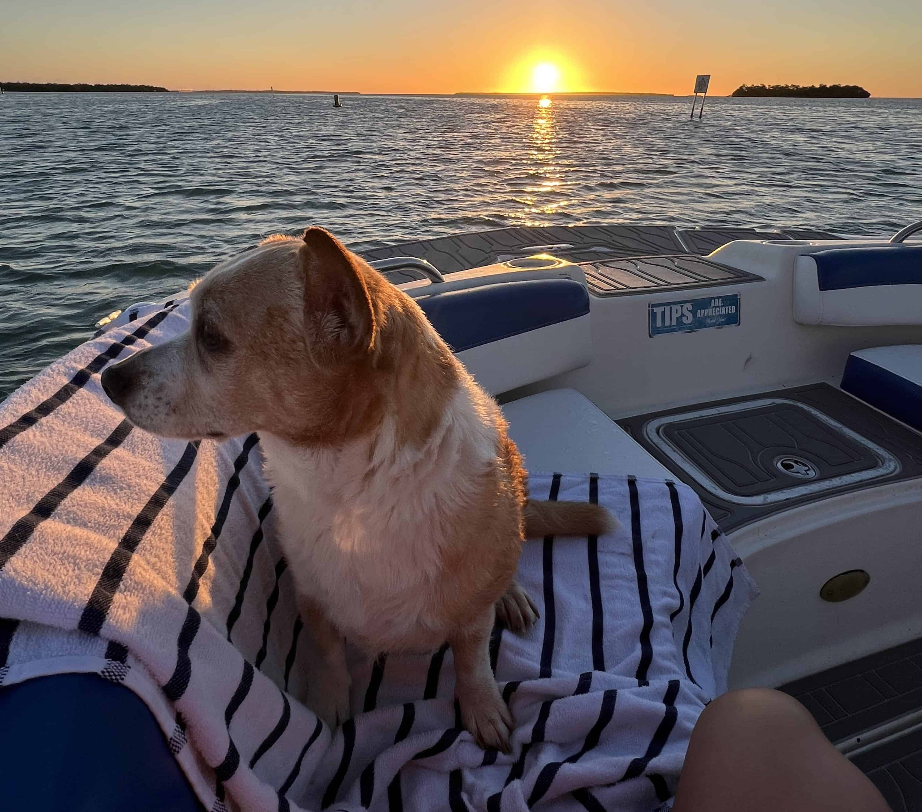 Islamorada-Your-Adventure-Your-Way-Custom-Charter