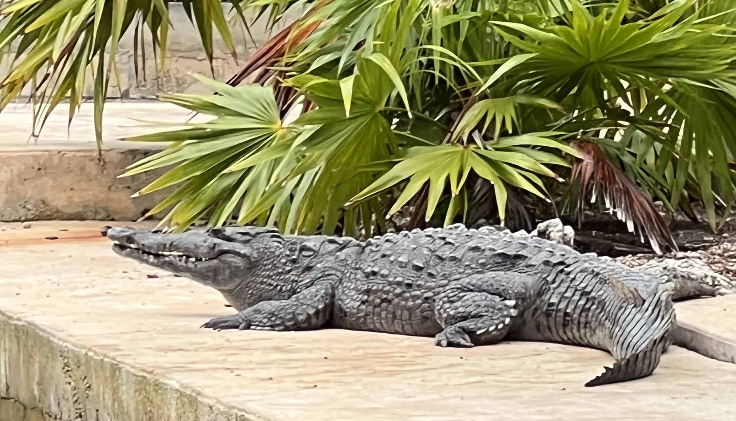 Islamorada-Your-Adventure-Your-Way-Custom-Charter