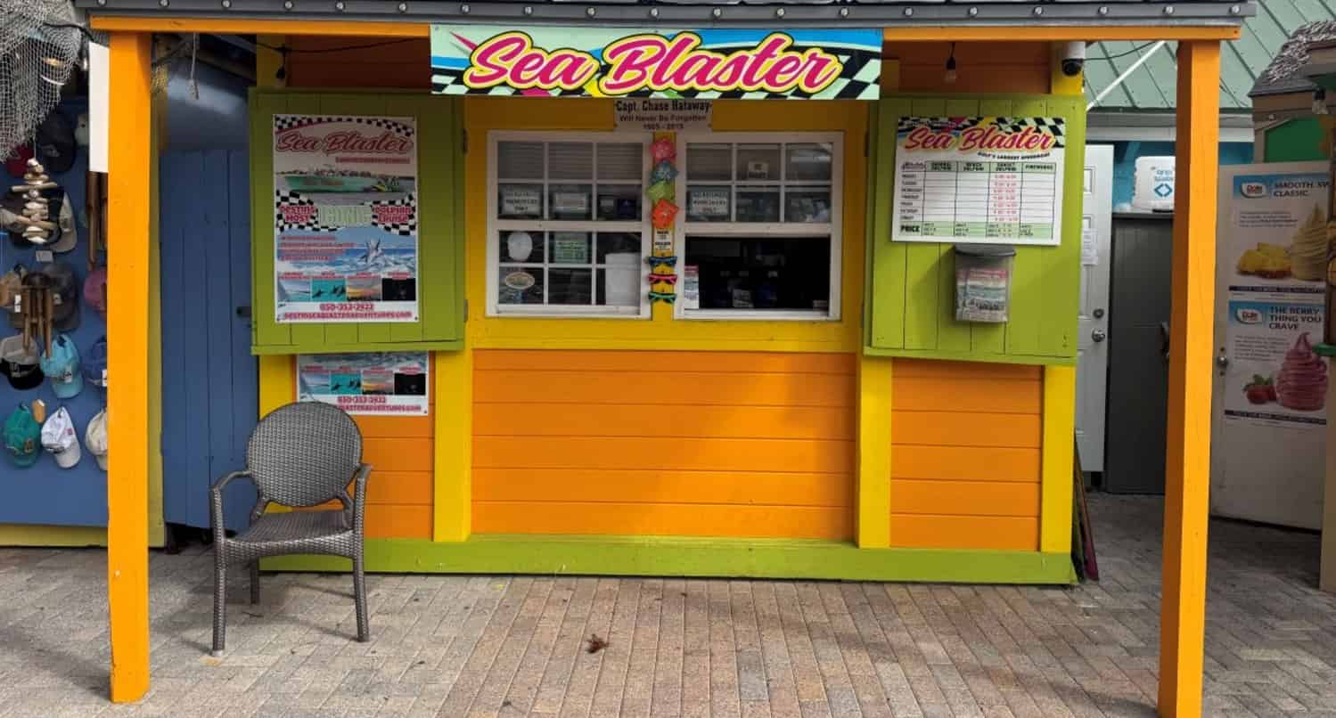 Destin-Dolphin-Cruise-Aboard-Sea-Blaster