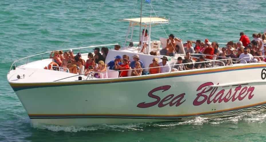 Destin-Snorkel-and-Dolphin-Excursion-Aboard-Sea-Blaster
