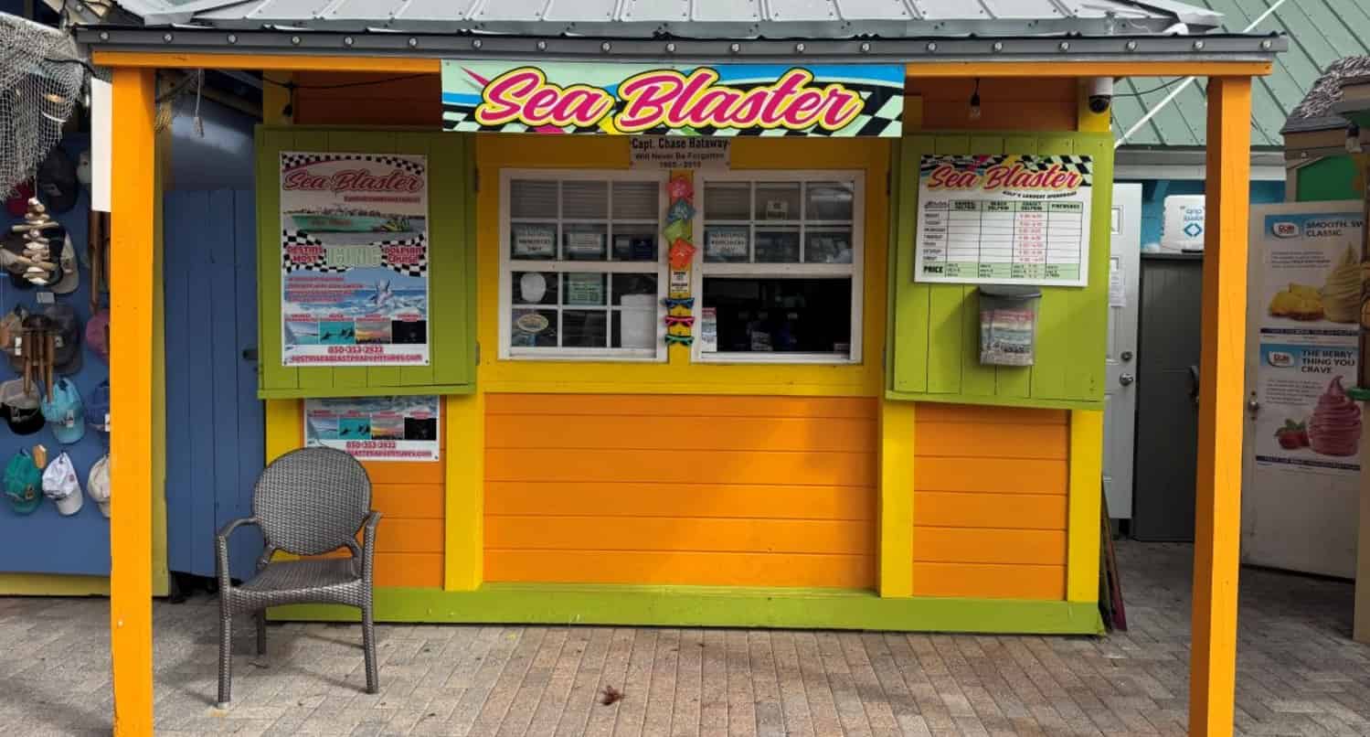 Destin-Snorkel-and-Dolphin-Excursion-Aboard-Sea-Blaster