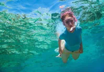 SeaQuest Snorkeling & Dolphin Adventure in Destin