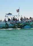 SeaQuest Snorkeling & Dolphin Adventure in Destin
