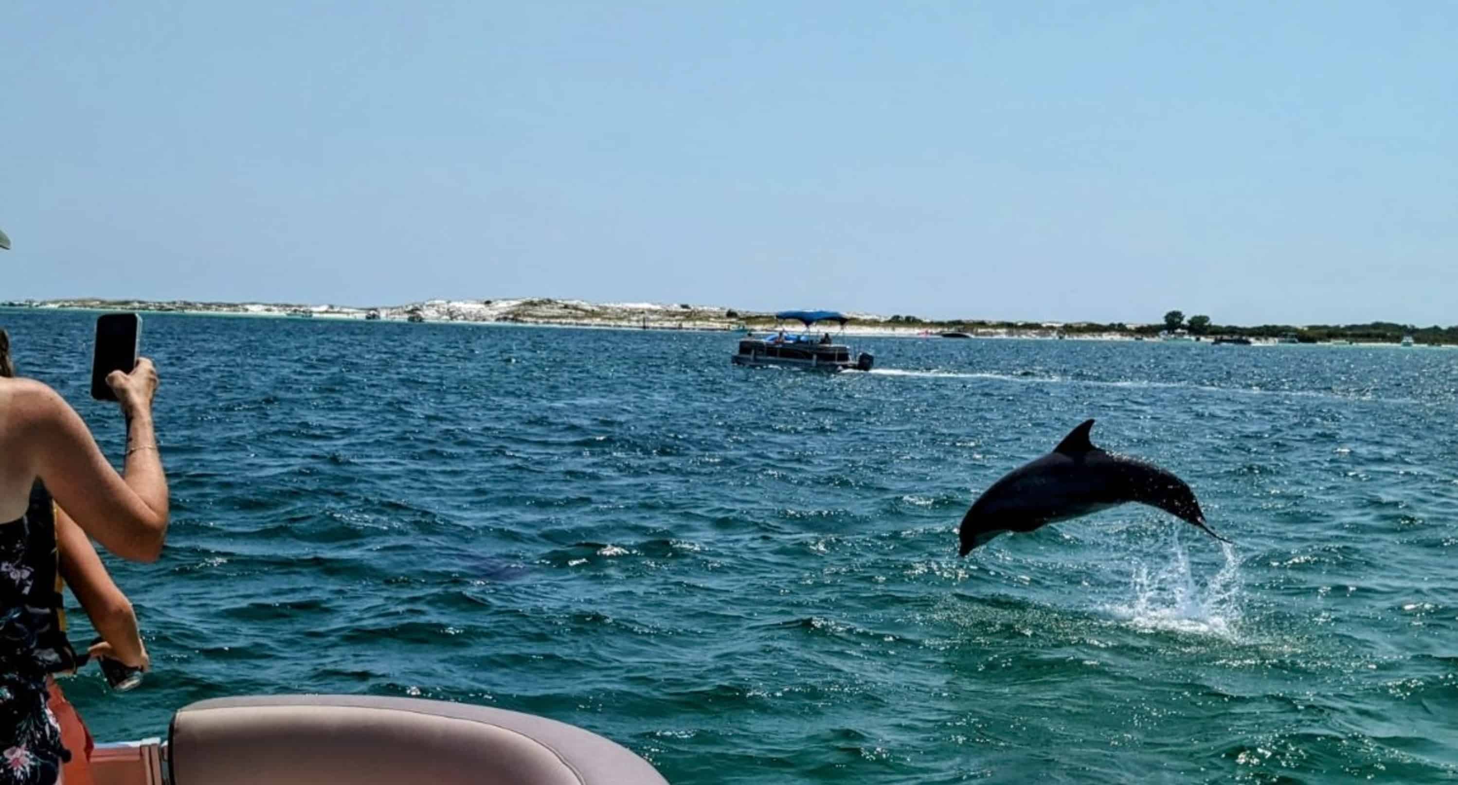 Destin-Top-Shelf-Dolphin-Tiki-Cruise