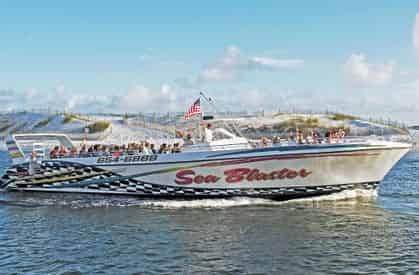 Snorkel and Dolphin Excursion on Destin's Original Sea Blaster