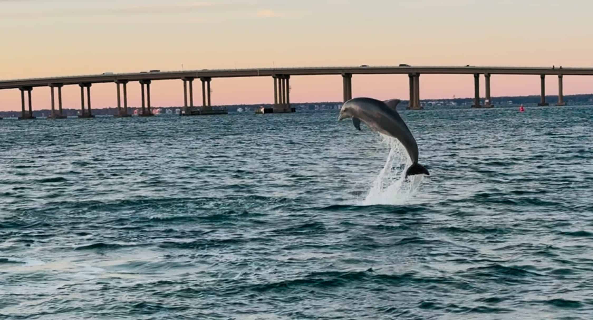 Destin-Pontoon-Boat-Harbor-and-Bay-Cruise