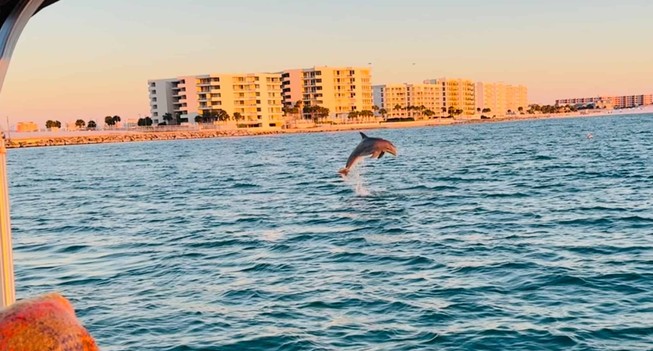 Destin-Pontoon-Boat-Harbor-and-Bay-Cruise