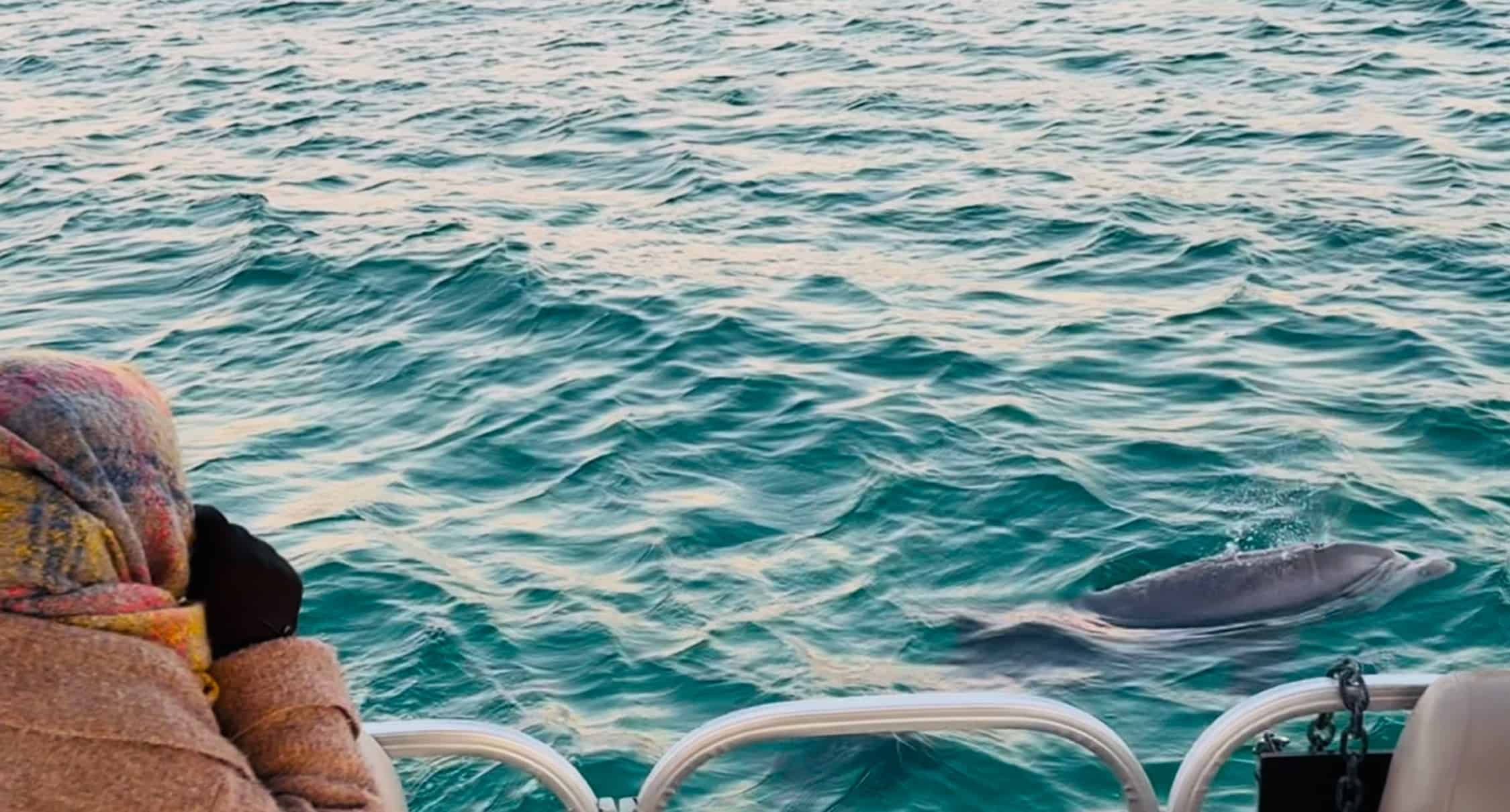 Destin-Pontoon-Boat-Harbor-and-Bay-Cruise