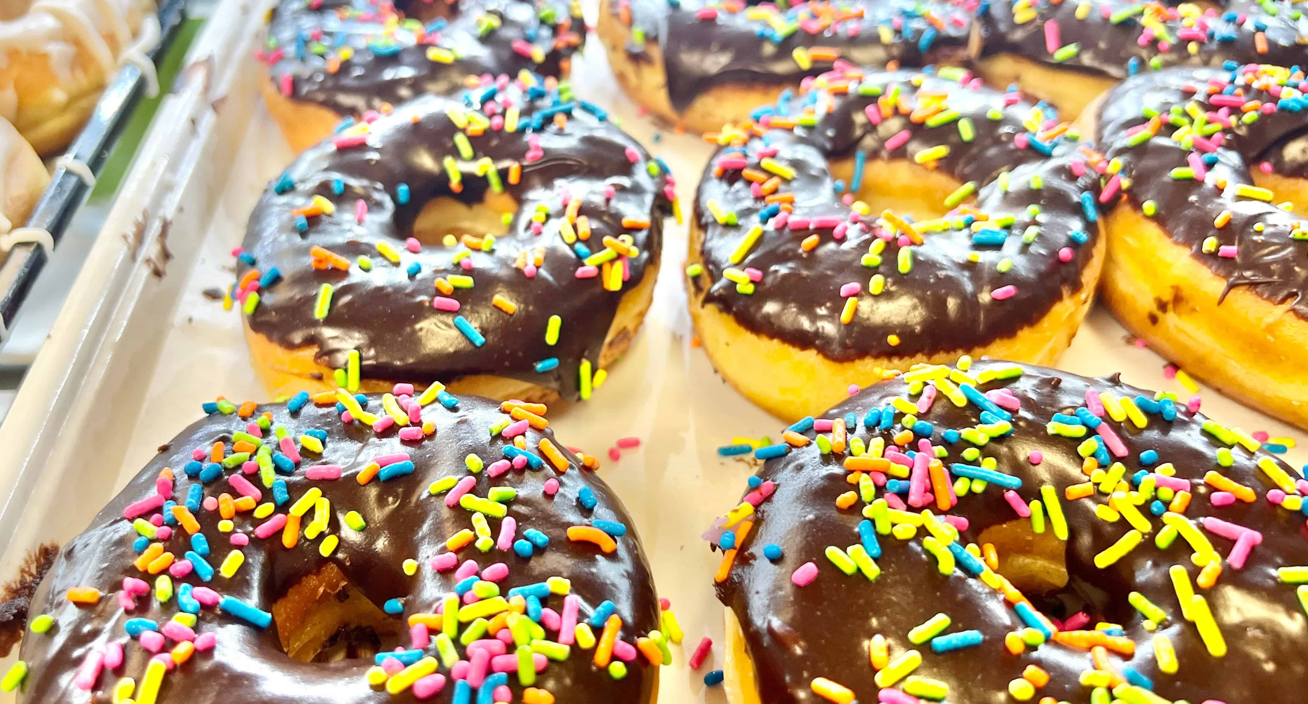 Fort-Walton-Beach-Morning-Dolphin-and-Donuts-Boat-Cruise