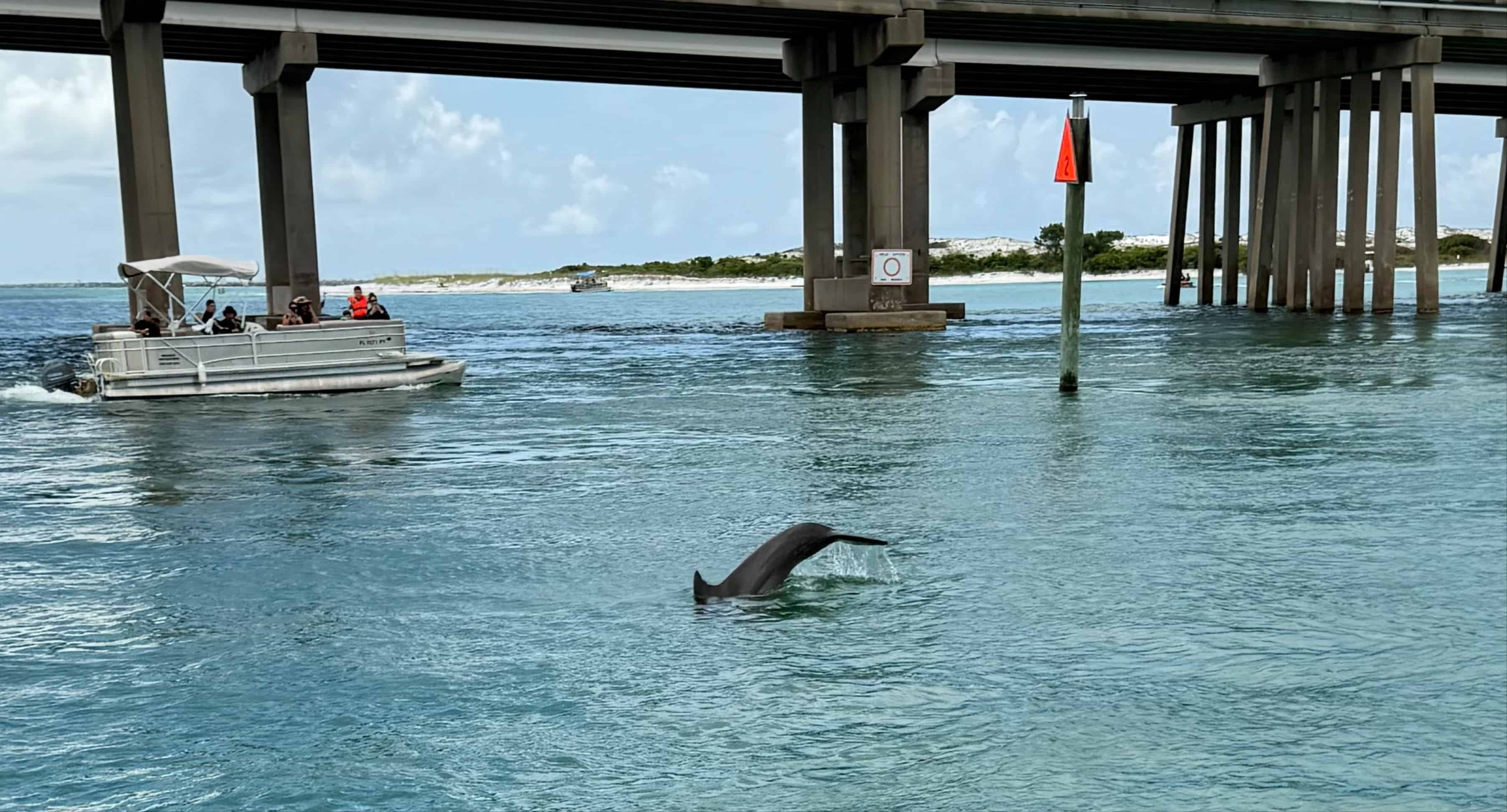 Fort-Walton-Beach-Morning-Dolphin-and-Donuts-Boat-Cruise