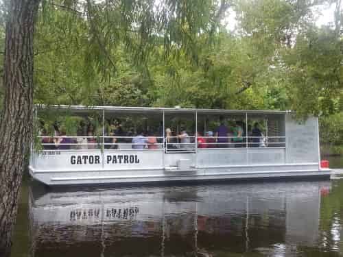 Manchac-Swamp-Tour-with-Optional-Transportation-From-New-Orleans