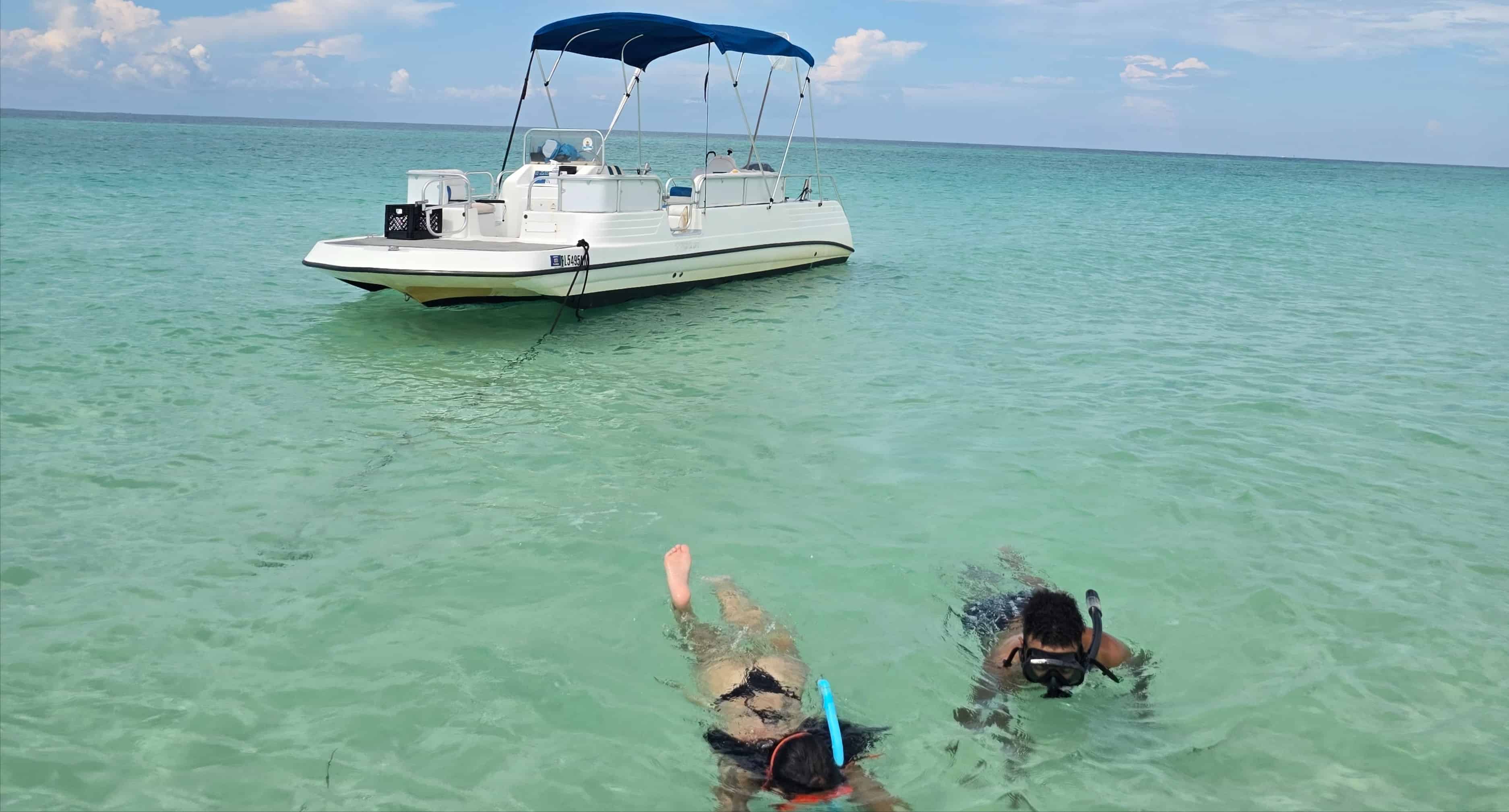 Panama-City-Beach-Shell-Island-and-Dolphin-Tour-with-Marine-Biology-Guide