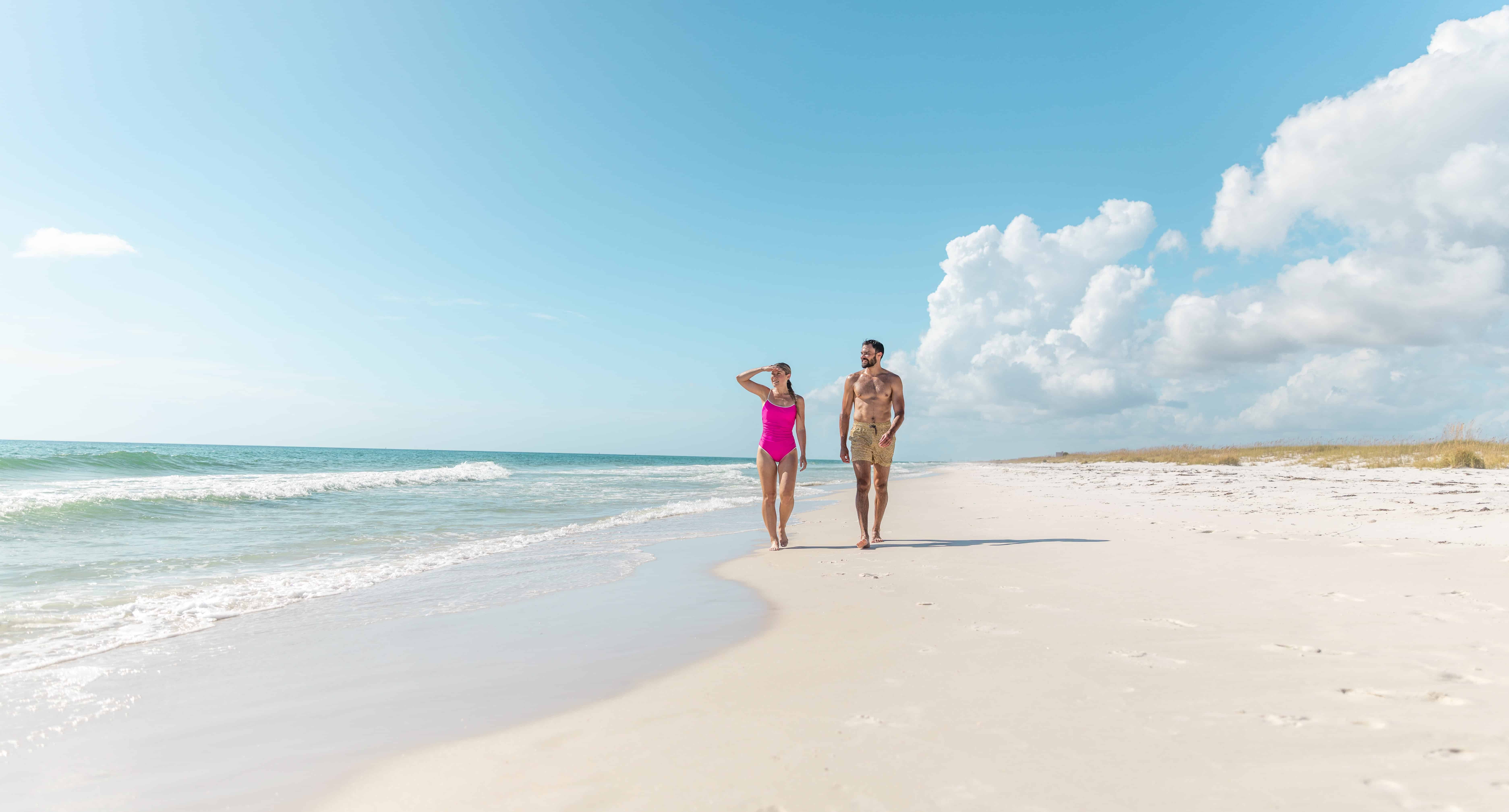 Panama-City-Beach-Shell-Island-and-Dolphin-Tour-with-Marine-Biology-Guide