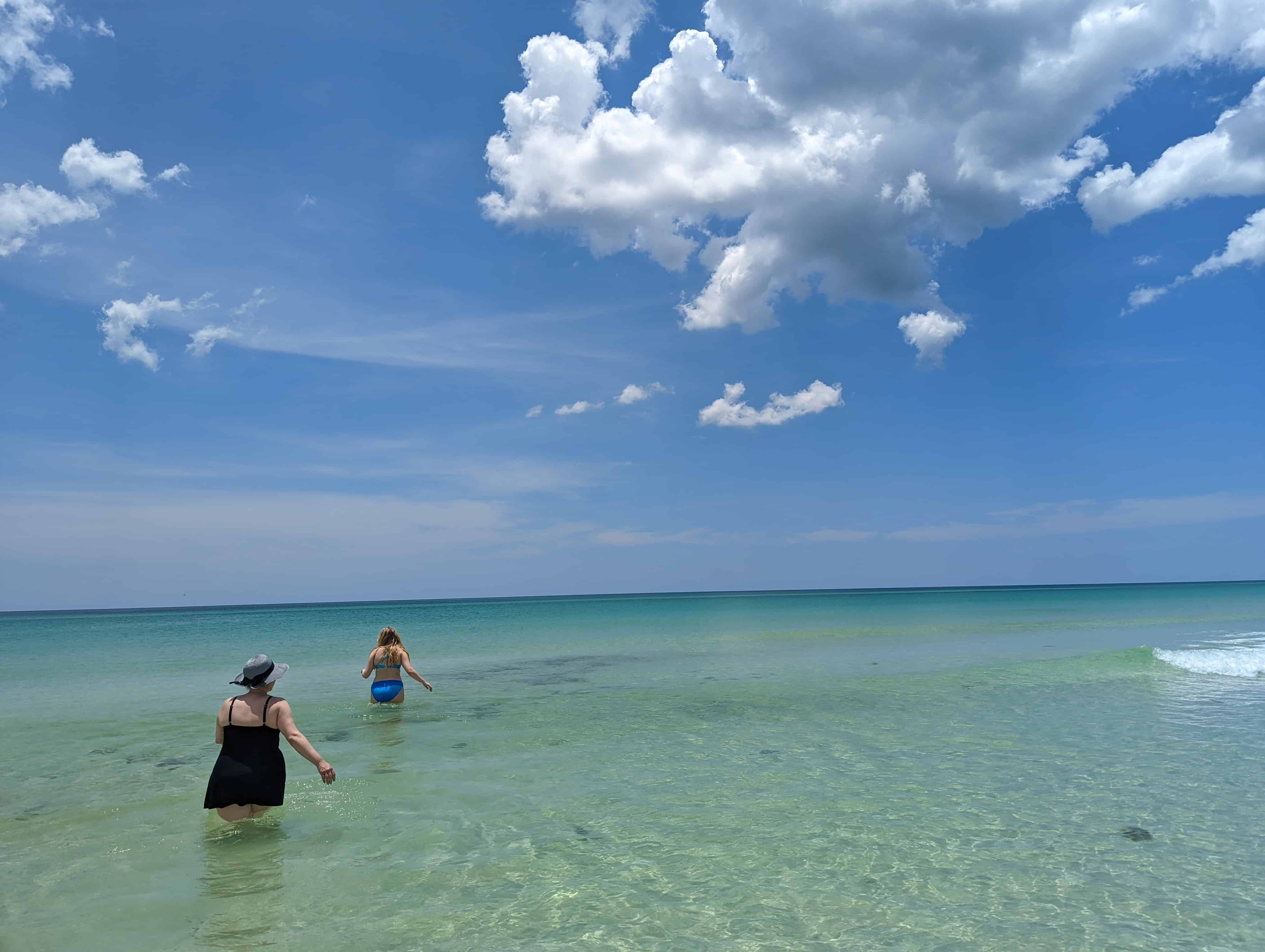 Panama-City-Beach-Shell-Island-and-Dolphin-Tour-with-Marine-Biology-Guide