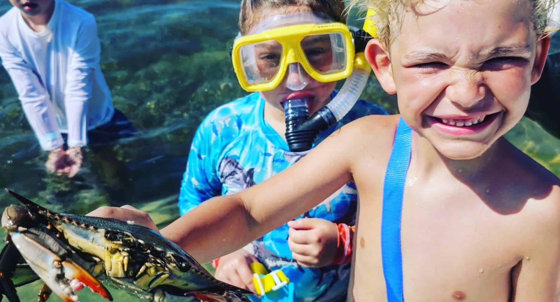 Panama-City-Beach-Shell-Island-and-Dolphin-Tour-with-Marine-Biology-Guide