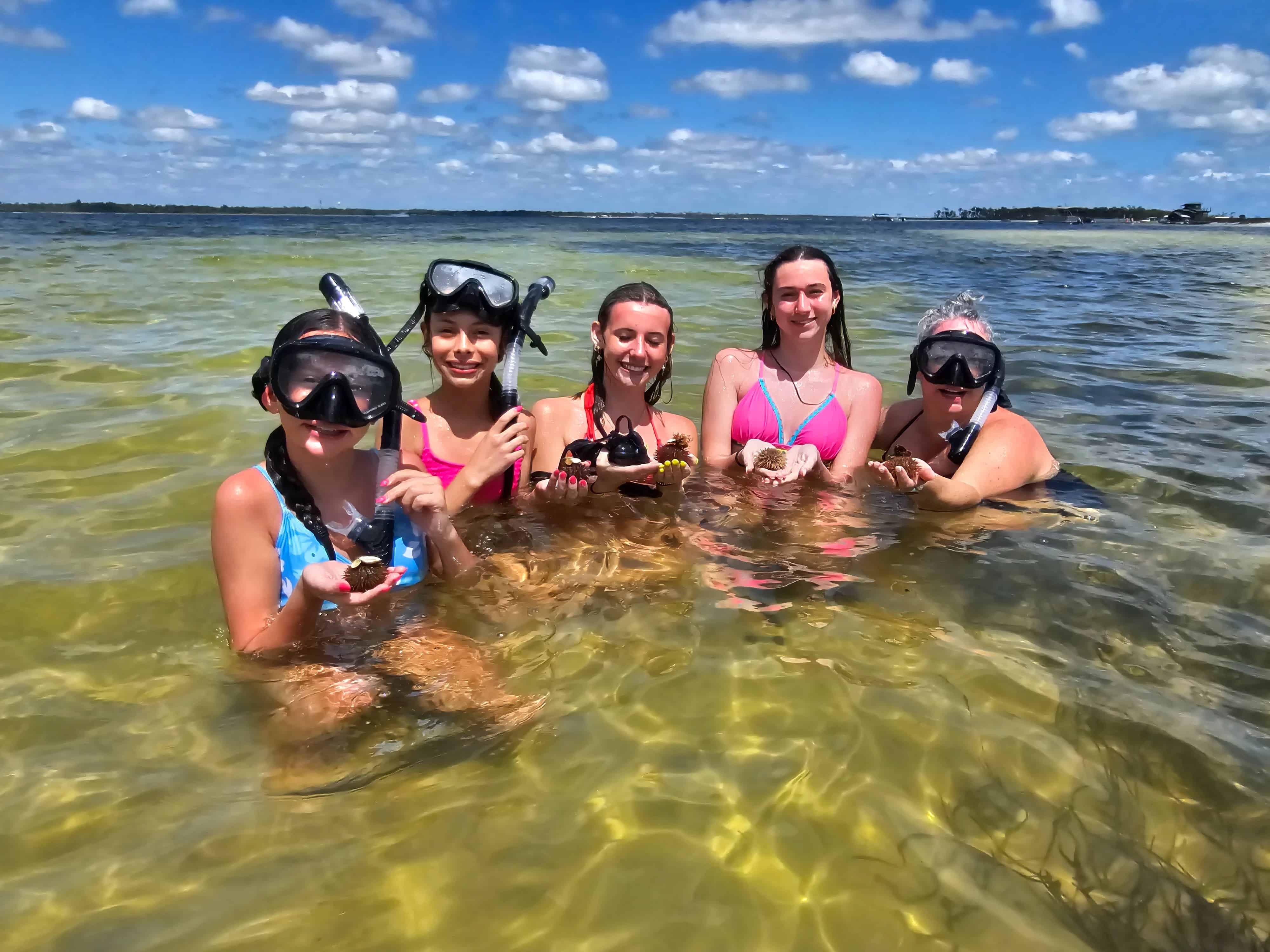 Panama-City-Beach-Shell-Island-and-Dolphin-Tour-with-Marine-Biology-Guide