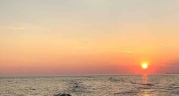 Panama-City-Beach-Dolphin-Boat-Cruise