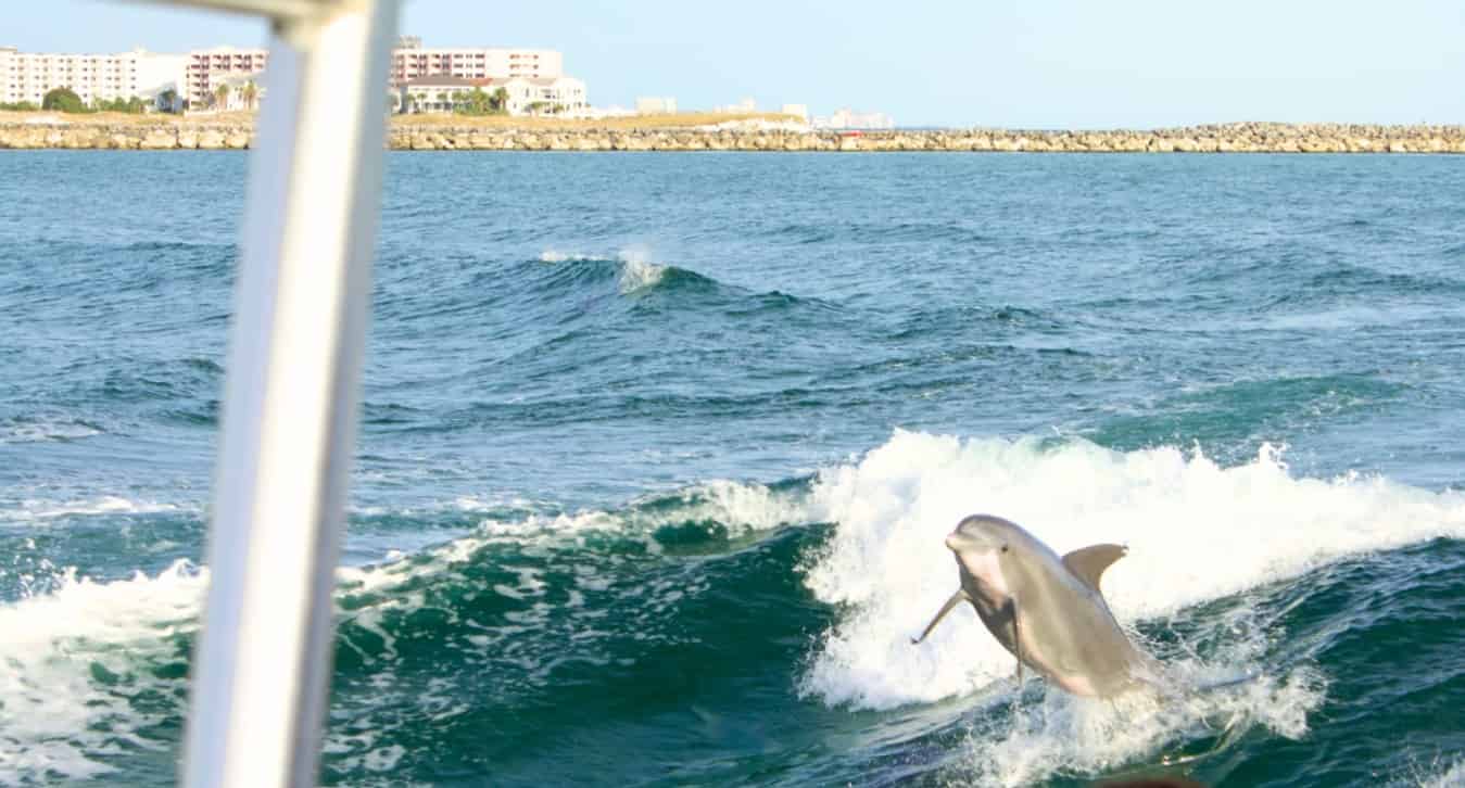 Destin-Sunset-Adventure-Aboard-Sea-Blaster-at-Harborwalk-Village