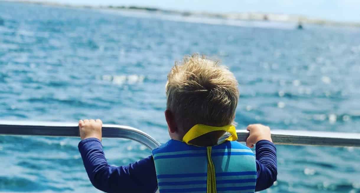 Panama-City-Beach-Dolphin-Sunset-Cruise-on-the-Islander-Catamaran