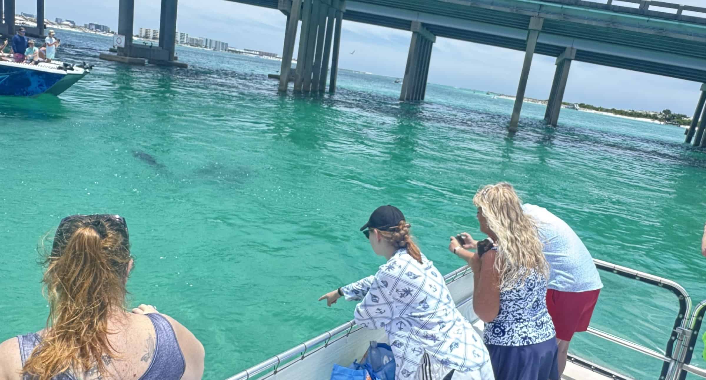 Fort-Walton-Beach-Afternoon-Harbor-and-Dolphin-Cruise