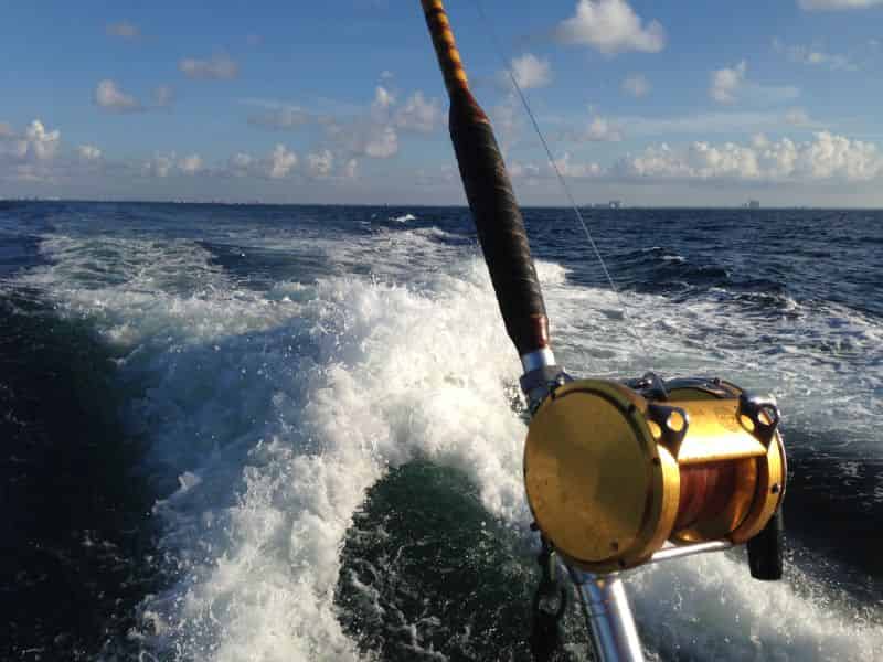Semi-Private-Group-Fishing-Charter-Aboard-The-Olin-Marler-Fleet-15-Person-Max