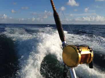Private Offshore Fishing Trip - 35 Person Max