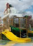 New Orleans Cool Zoo Water Park and Audubon Zoo Combo Ticket