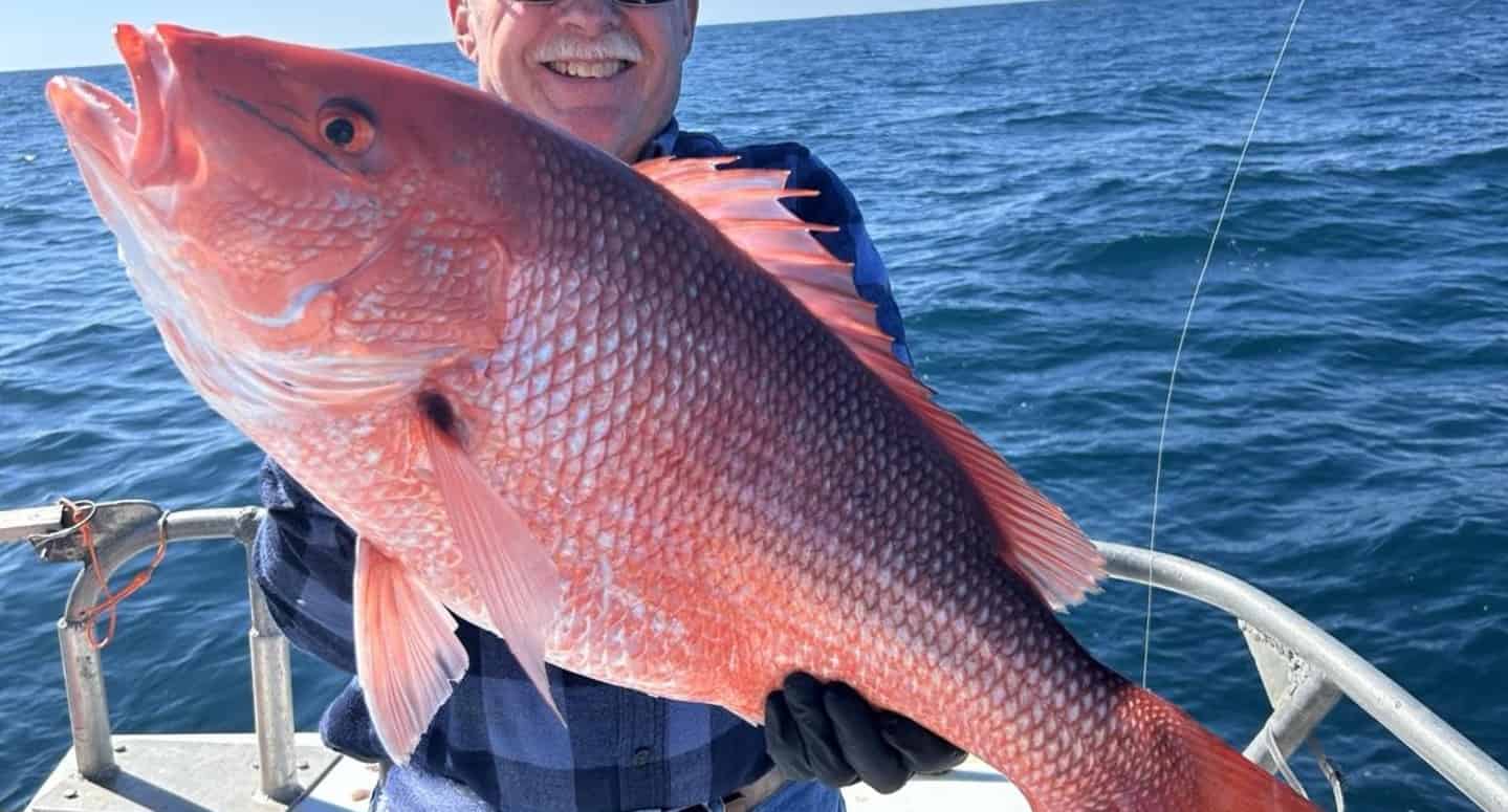 Myrtle-Beach-11-5-Hour-Gulf-Stream-Fishing-Aboard-the-Hurricane-II