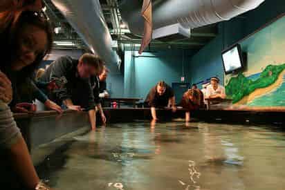 New Orleans Zoo and Aquarium Combo Deal