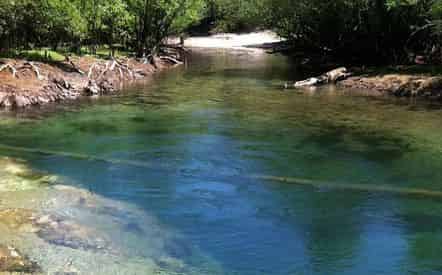 Backwater Tours - River Adventure & Sunset Trips