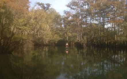 Backwater Tours - River Adventure & Sunset Trips