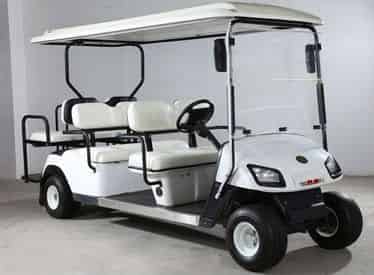 30A Street Legal Golf Cart Rentals with Shoreline Beach Service