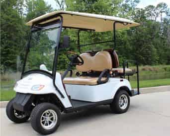 30A Street Legal Golf Cart Rentals with Shoreline Beach Service
