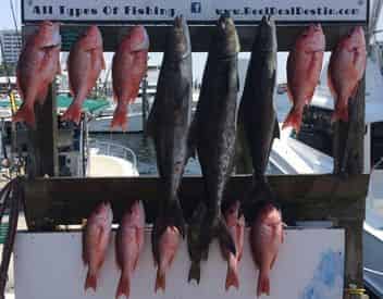 Charter Boat Reel Deal