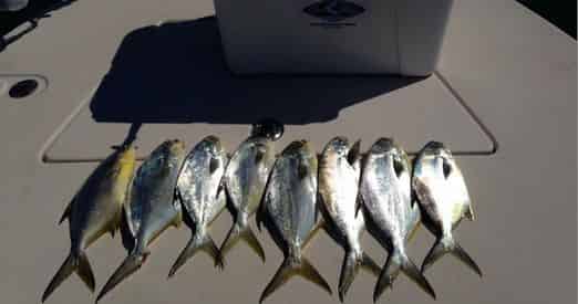 Rolling Tide Charters – Private Offshore & Inshore Fishing