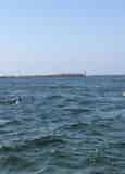 Xtreme H2o Destin Crab Island Jet Ski Dolphin Tour