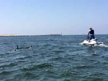 Xtreme H2o Destin Crab Island Jet Ski Dolphin Tour