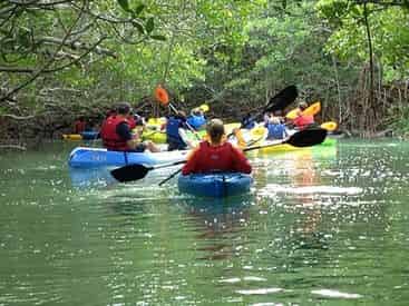 Kayak Rental with Shoreline Beach Service