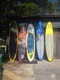 Paddleboard Rental with Shoreline Beach Service