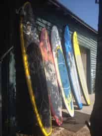 Paddleboard Rental with Shoreline Beach Service