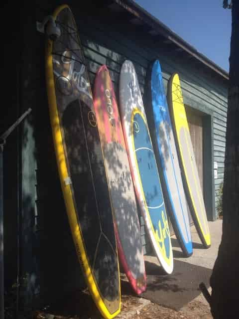 Shoreline Paddleboard Rental - TripShock!