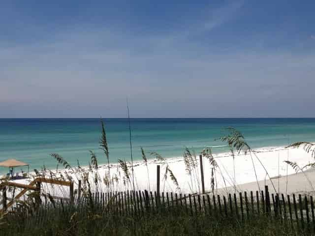 Paddleboard-Rental-with-Shoreline-Beach-Service