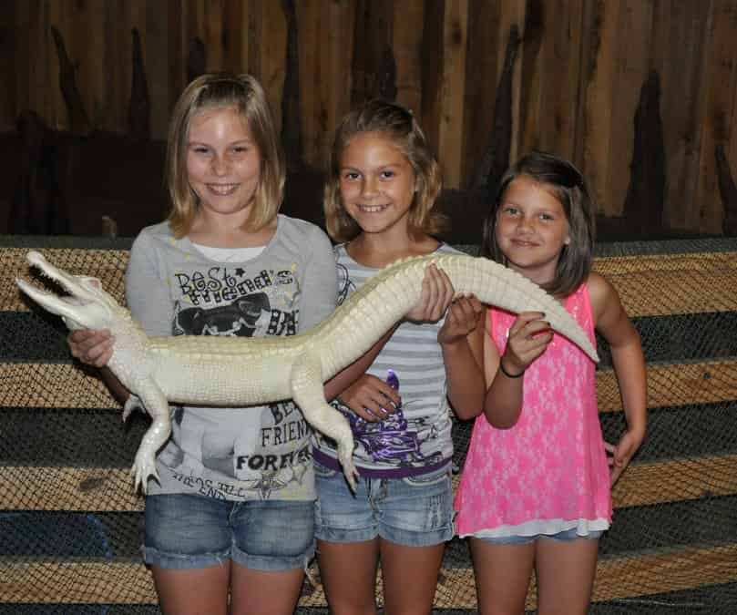 Airboat-Adventures-from-New-Orleans-with-Optional-Transportation