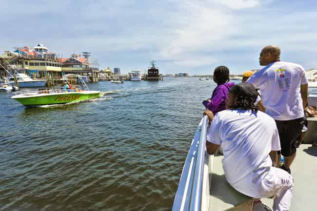 daytime dolphin watch & sunset cruises