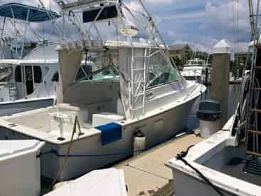 Private Shark Fishing Excursion Aboard the Big Deal