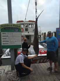 Private Shark Fishing Excursion Aboard the Big Deal