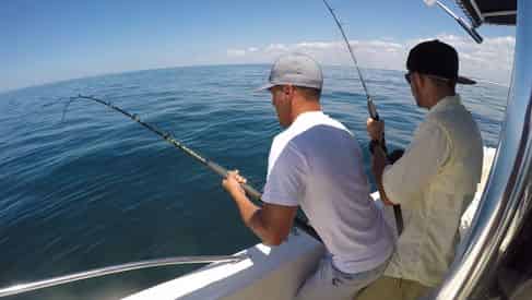 Private Destin Shark Fishing with Reel Deal Charters