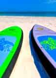Destin Stand Up Paddleboard Rental