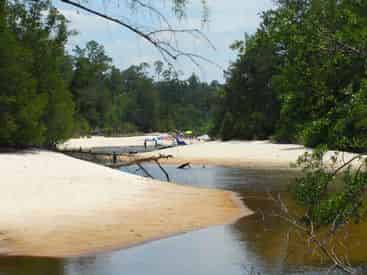 Blackwater River Tubing Trip